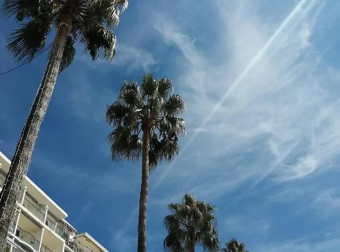 Stylish New 1 Bedroom In Juan Les Pins Διαμέρισμα